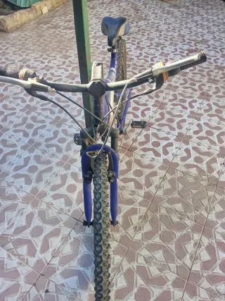Bicicleta de Montaña Runner Azul