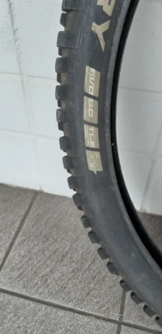 Cubiertas Schwalbe Magic Mary e Hans Dampf