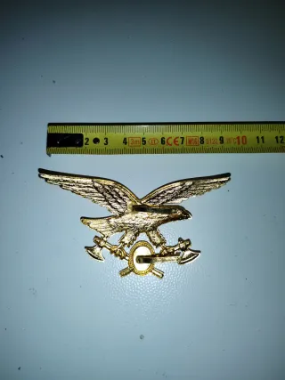 Distintivo corpo forestale