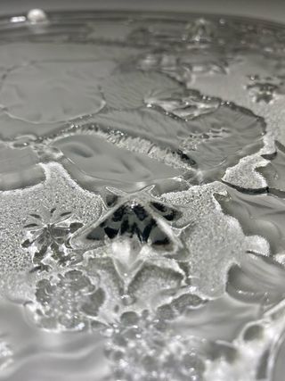 Piatto Natalizio 37cm Babbo Natale