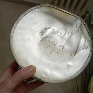 Portagioie radica e madreperla vintage