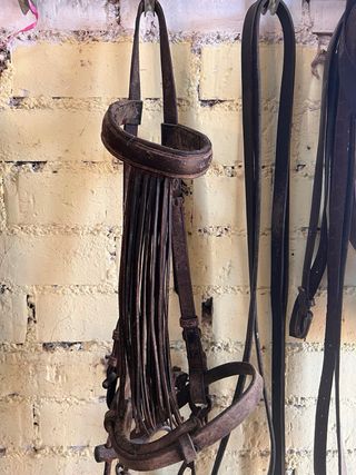 Cabezada vaquera de cuero