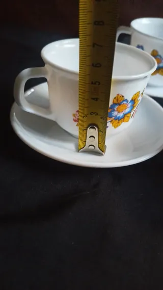 Juego café Arcopal Delhi vintage