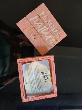 Caja joyero madera Tous con 2 bandejas