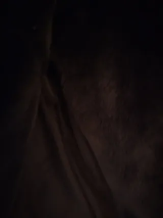 Abrigo Zara Negro con Capucha