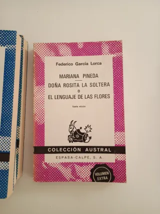 Lote Libros Editorial Austral