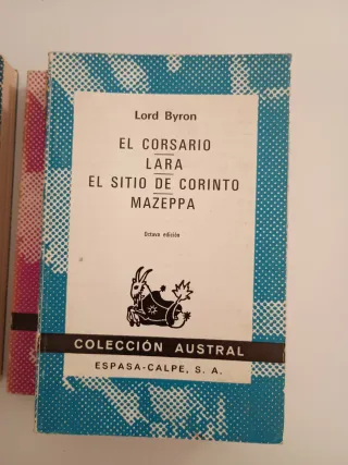 Lote Libros Editorial Austral