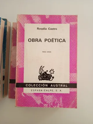 Lote Libros Editorial Austral