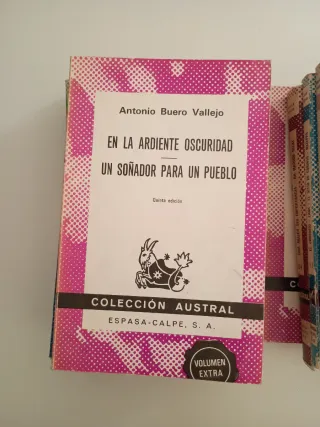 Lote Libros Editorial Austral