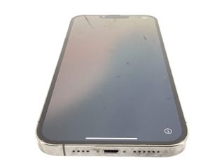 apple iphone 13 pro max 256gb