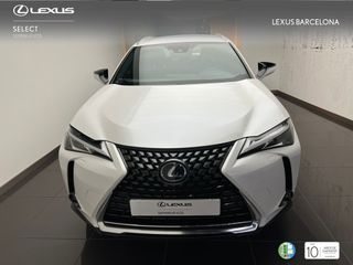 Lexus UX250h BUSINESS 2019 REF 1331