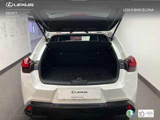 Lexus UX250h BUSINESS 2019 REF 1331