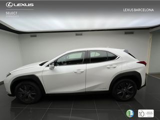 Lexus UX250h BUSINESS 2019 REF 1331