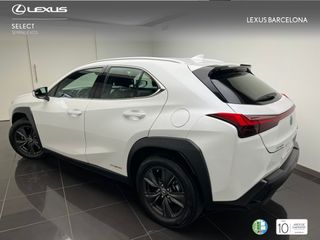 Lexus UX250h BUSINESS 2019 REF 1331