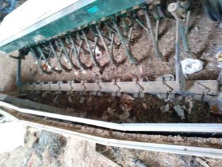 Sembradora de 19 chorros.