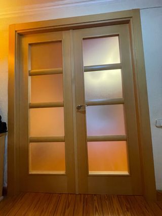 SET DE 3 PUERTAS (salon y cocina). PRECIO TOTAL 85