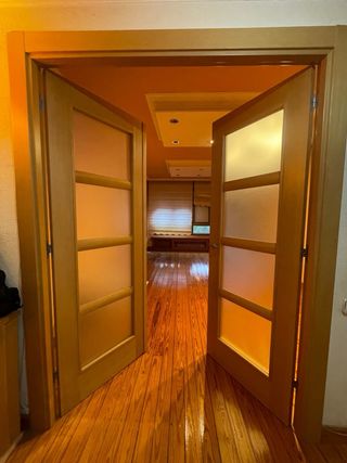 SET DE 3 PUERTAS (salon y cocina). PRECIO TOTAL 85