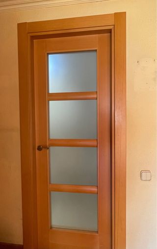 SET DE 3 PUERTAS (salon y cocina). PRECIO TOTAL 85