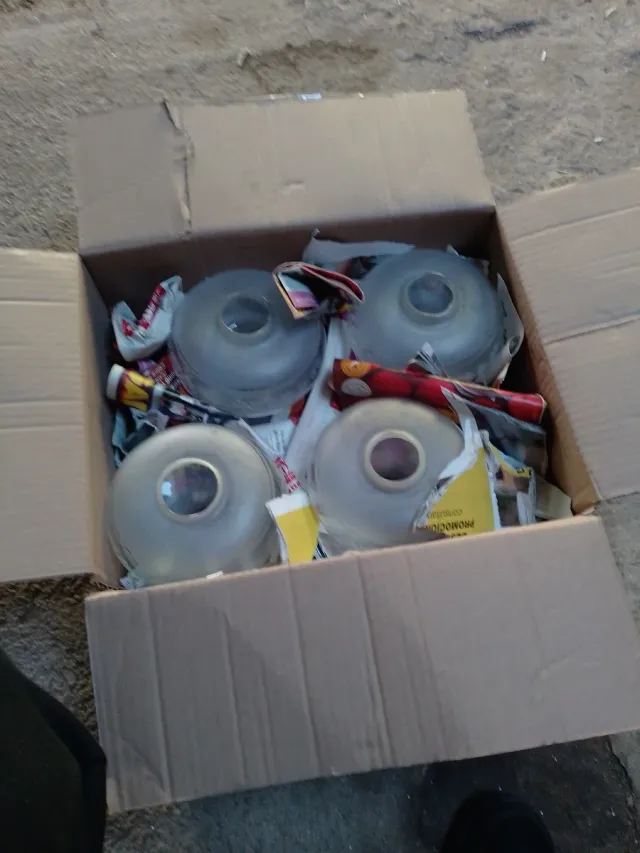 4 Tulipas de Cristal Transparentes