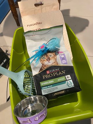 Arenero Gato Cubierto + Recogedor + Juguete