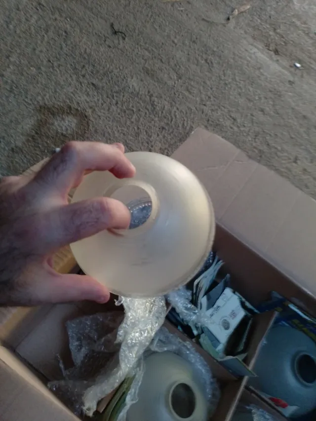 Tulipas de cristal y plástico