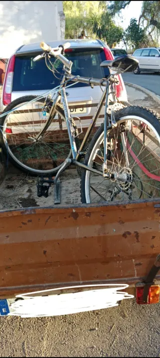Bicicleta de montaña
