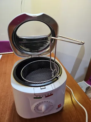 Friggitrice elettrica