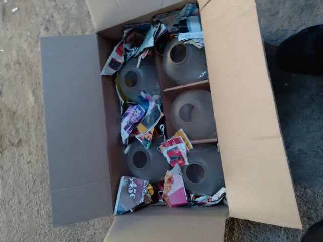 5 Tulipas de cristal transparentes