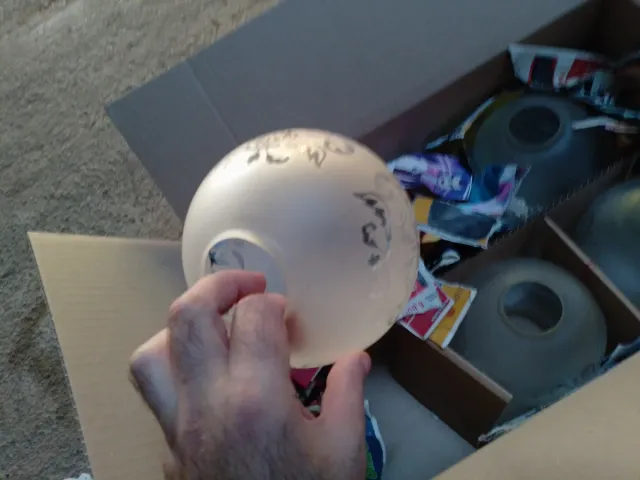 5 Tulipas de cristal transparentes