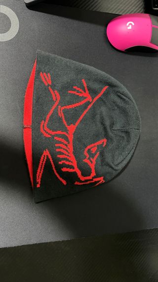 Gorro Arc'teryx lightweight beanie
