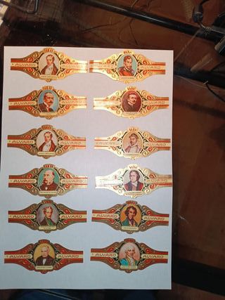 Lote 28 Vitolas de Puros