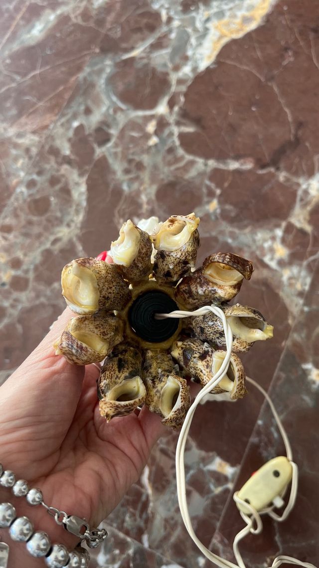 Lámpara de caracolas marinas