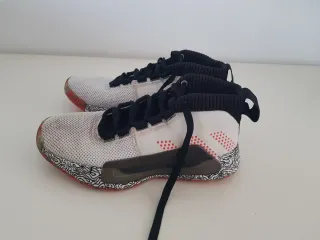 Zapatillas  Adidas F36561 Damian Lillard YKWTII