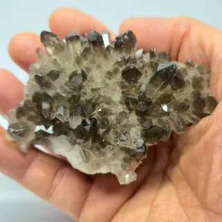 Cuarzo Ahumado drusa cristales espectaculares