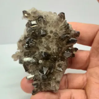 Cuarzo Ahumado drusa cristales espectaculares