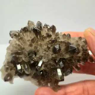 Cuarzo Ahumado drusa cristales espectaculares