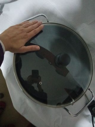 Olla eléctrica 19'5cm