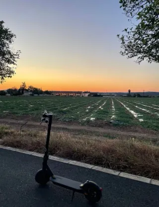 Patinete Eléctrico Xiaomi