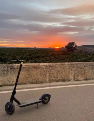 Patinete Eléctrico Xiaomi