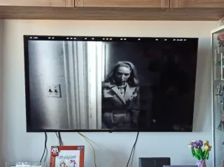 DVD La Noche de los Muertos Vivientes