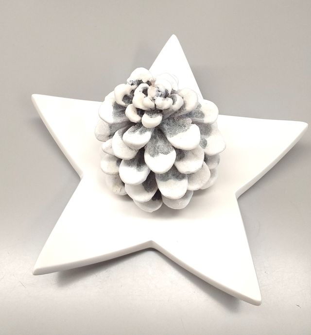 Scatola di Natale 32