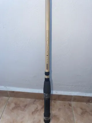 Caña de pescar Decathlon Carpelan