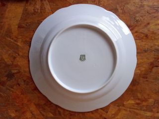 Piatto in porcellana Verbano decorato