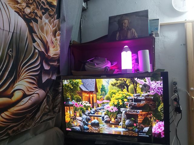 Alquiler de gabinete