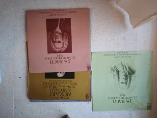 Lote Vinilos Música Clásica