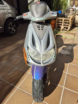 Derbi Predator 50