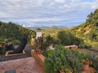 Casa rural con 4 hectárea...en muy buena