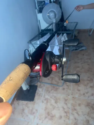 Caña y carrete de casting