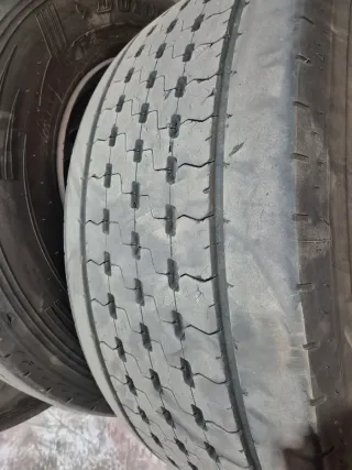 Neumáticos Dunlop 385/55 R22.5