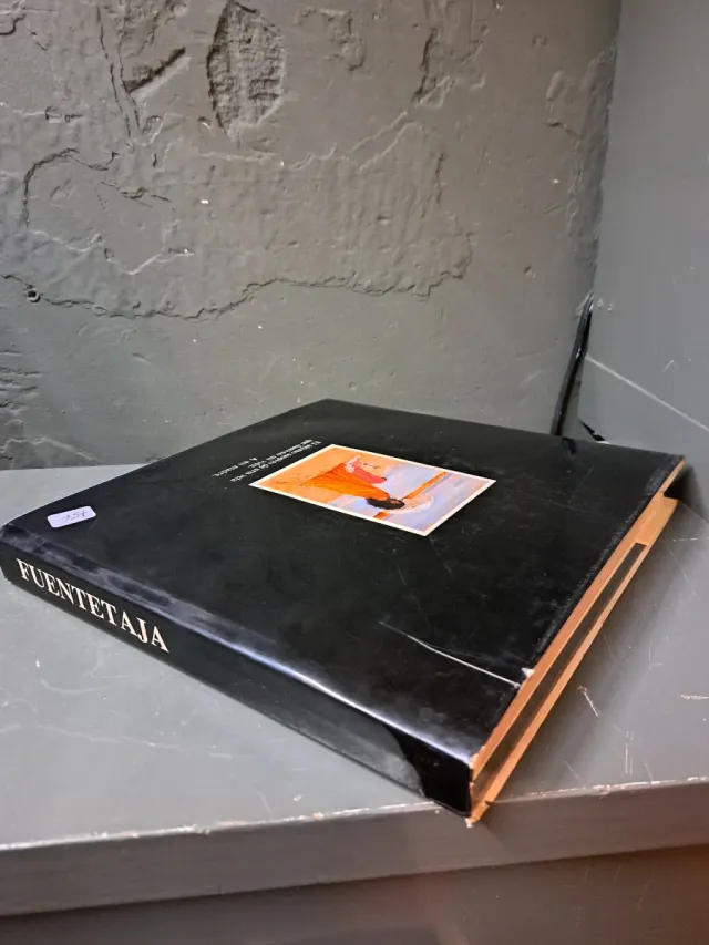 Libro arte Fuentetaja